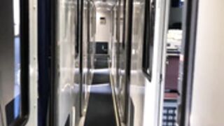 Dani Daniels on Train