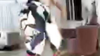 La Materialista LIVE (Ejercicios - Baile)