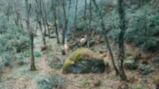 Poonam_Pandey - 2022_05_19 - Wild