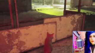 KatieKat plays Stray 7-20 part 2