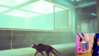 KatieKat plays Stray 7-20