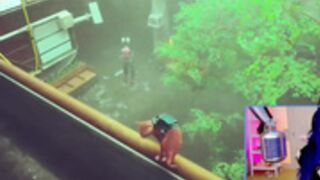 KatieKat plays Stray 7-20