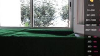 J3$$!C4 4$|-||3Y 2021-10-06_10-09-36_69203