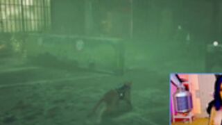 KatieKat plays Stray 7-20 Part 3