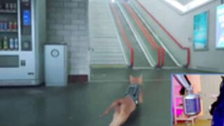 KatieKat plays Stray 7-20 Part 3