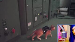 KatieKat plays Stray 7-20 Part 3