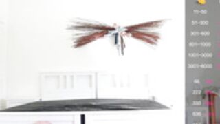 J3$$!C4 4$|-||3Y 2021-10-08_04-33-02_86006