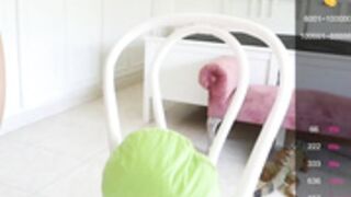 J3$$!C4 4$|-||3Y 2021-10-08_04-33-02_86005