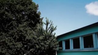 Trish-Collins - GFE outdoor college girl