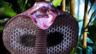 Ludella Hahn - Under your Sssspell