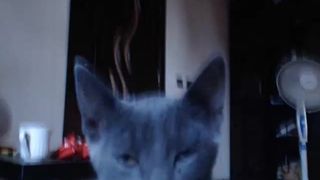 Killmemories cam recording 2014 September 01_09-29-33