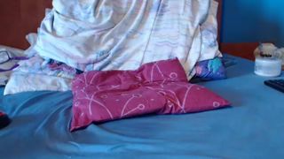 Julianalust webcam recording 2014 August 29_08-26-59