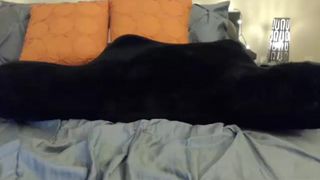 Thefleshexperience webcam recording 2014 August 12_09-31-38