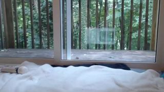 Katnisevergreen webcam recording 2014 August 11_01-48-25