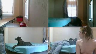 Pretty38kitty cam recording 2017-02-12 033202