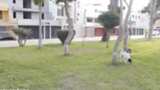 Don´t Call Me Veneca