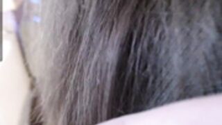 CB - barsikmeow (2021-04-11)