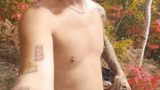 Autumn Colors High In The Mountains