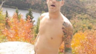 Autumn Colors High In The Mountains