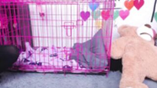 MollyMayhem - Slutty Kitty