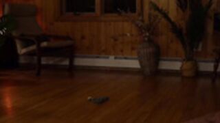 tantric_eden , _frankie_rivers dancing  frankie cam 2