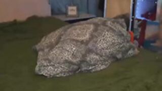 Glorikitty 20-12-2021 part6