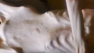 anorexic Christin s4N2y