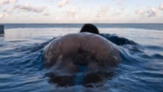 ANI - VACATION WITH A LOT OF VITAMIN D