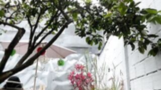 Julieta♡ Tik Tok chaturbate stripchat  xhamsterlive  MF