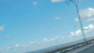 Beshine Buterfly top