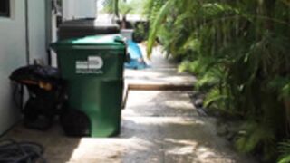 9 girl virtual bj poolside