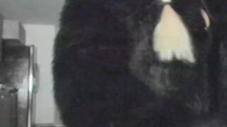 KimTylor_ 2022-09-03 20_45