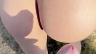 Autumn Falls OF in the woods