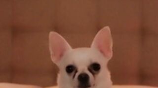 AmyValentine 9-6-2022 pt 1