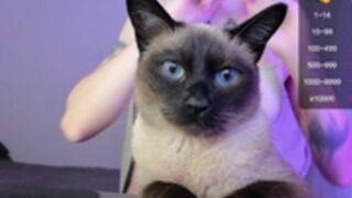 Shelyair and her equally beautiful siamese cat