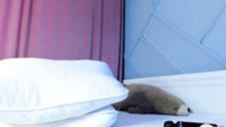 kisimoto_key 2022-09-05