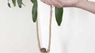 Mady Gio Oil Topless