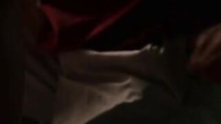 Denise Richards, wild Things