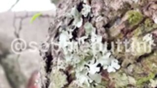 Sophie Buttini Compilado 1