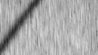 Peta Jensen and noelle easton