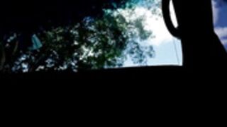 bangbus 2