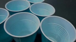 mj fresh sister beer pong