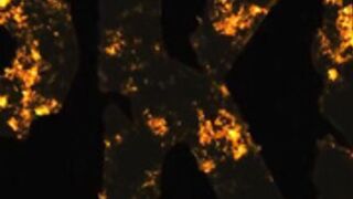 taboo diaries sister sleep hypno by brother