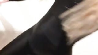 Lili Love Onlyfan Leaked #1