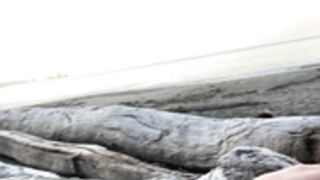 Abby Opel - Tits out at the beach