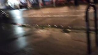 LilyMaeExhib- bar district