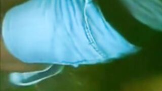 el famoso pete en el parque (argentina)