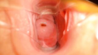 Journey to Center of Chaturbatable