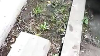 bunny_vic ,what romanian need do for have money