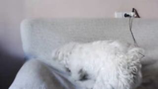 mayarossi collection pt5